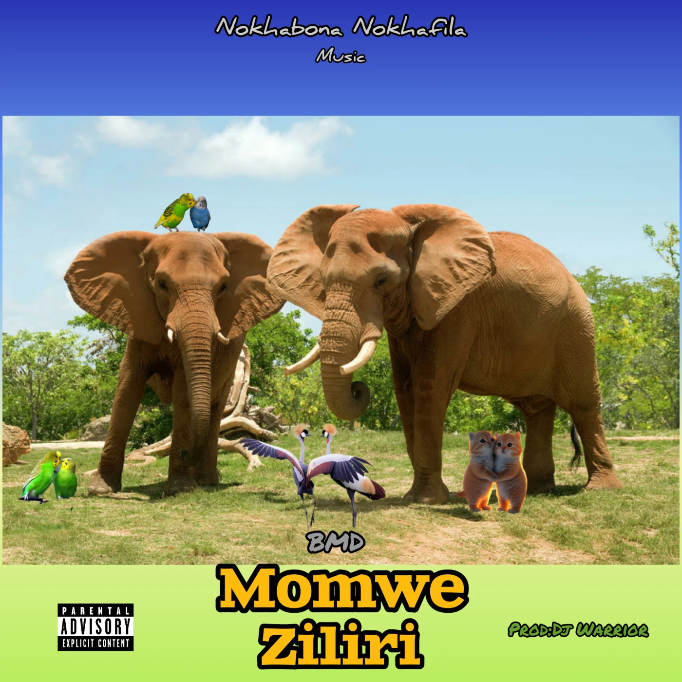 momwe-ziliri-bmd - mp3 download